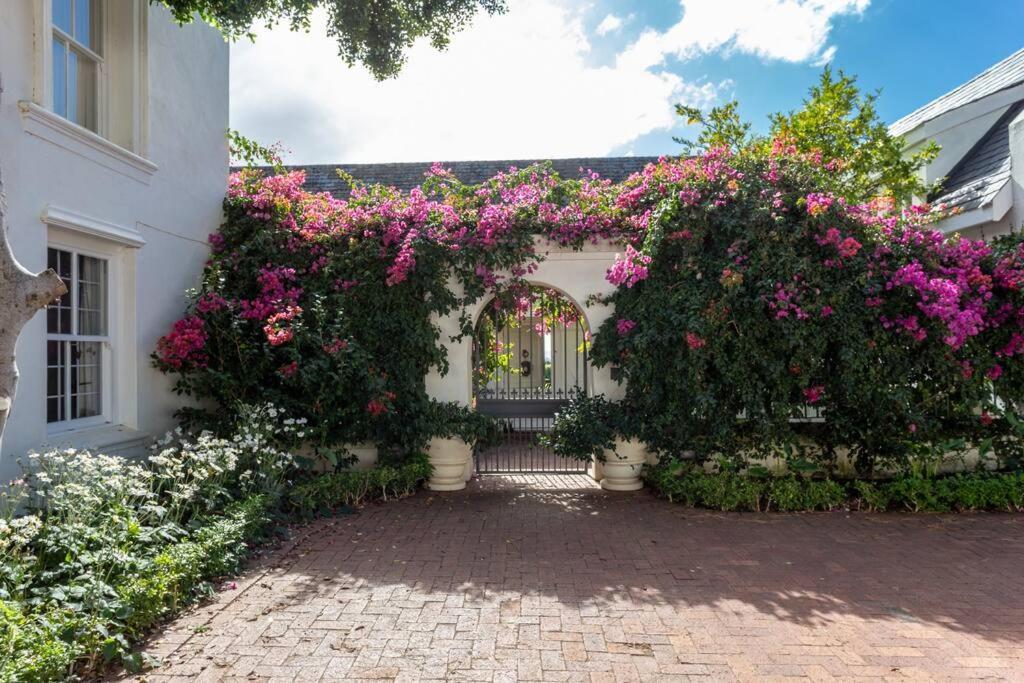 Chez Botanica Apartment Constantia Cape Town Exterior photo